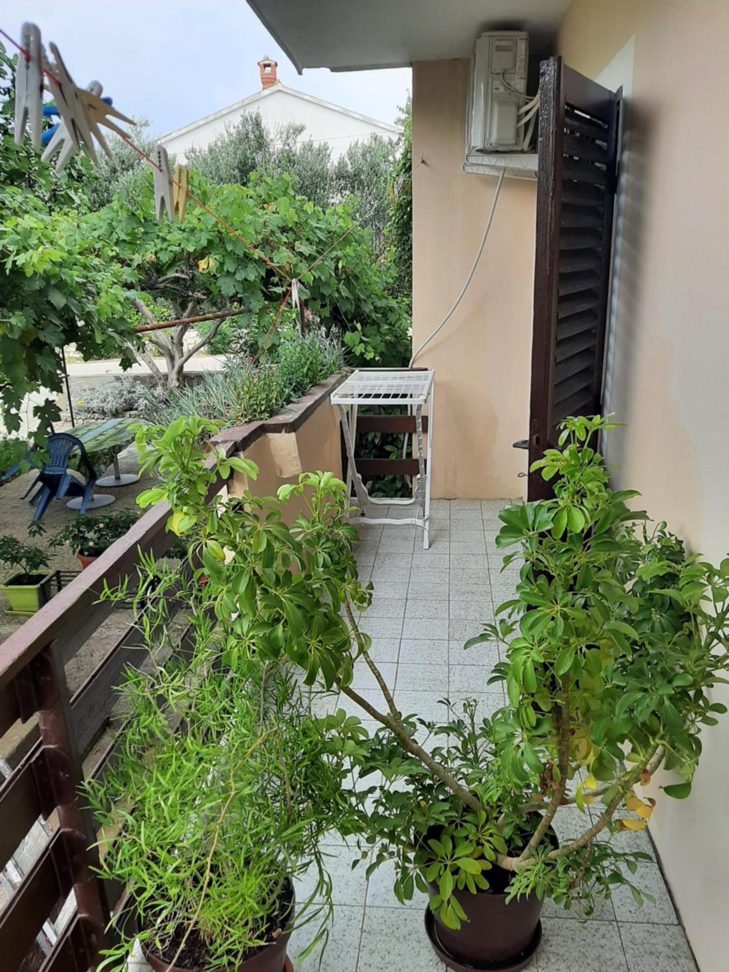 Apartmani Marija Povljana Ruang foto