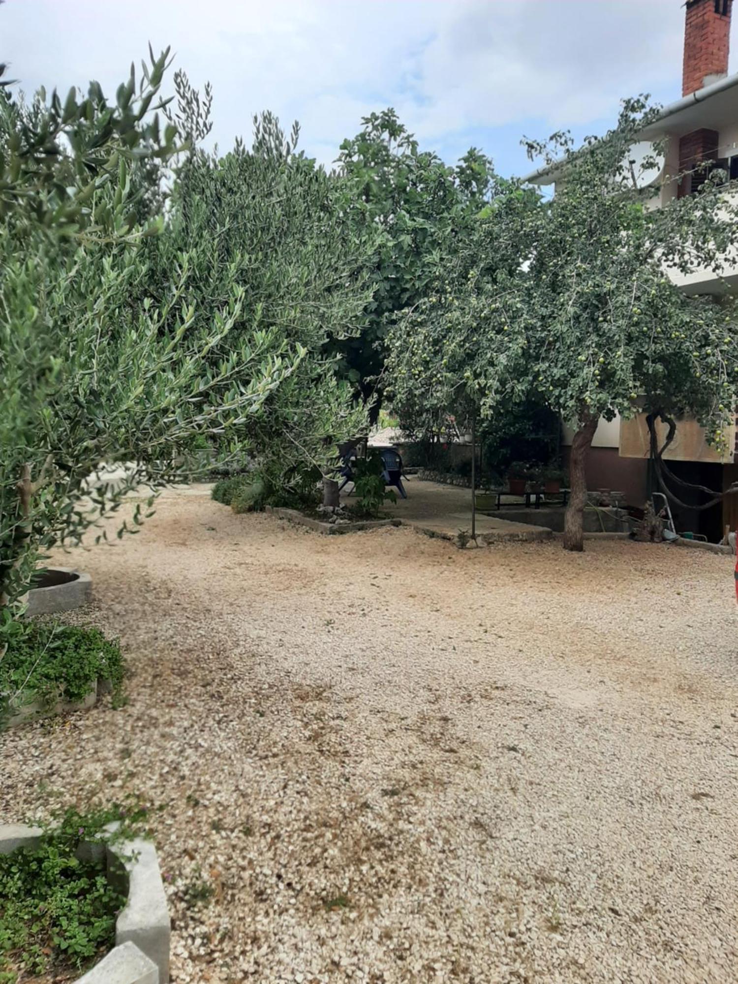 Apartmani Marija Povljana Ruang foto