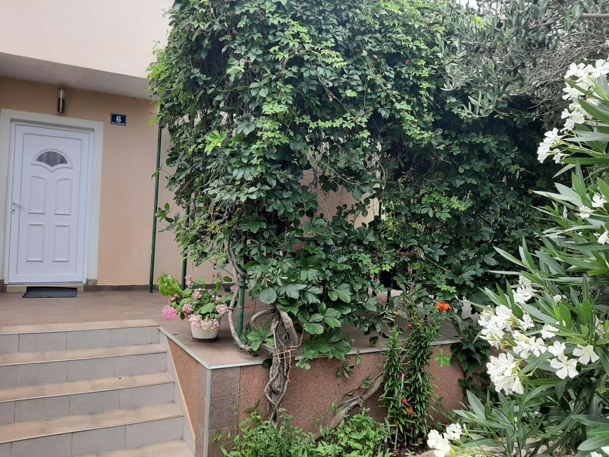 Apartmani Marija Povljana Ruang foto