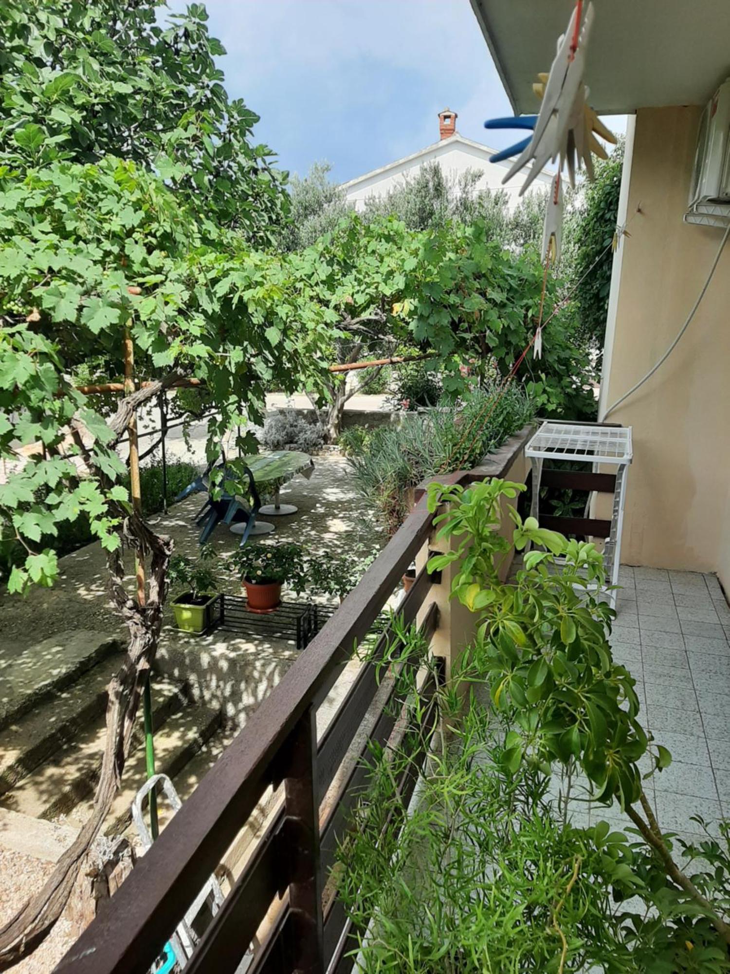 Apartmani Marija Povljana Ruang foto