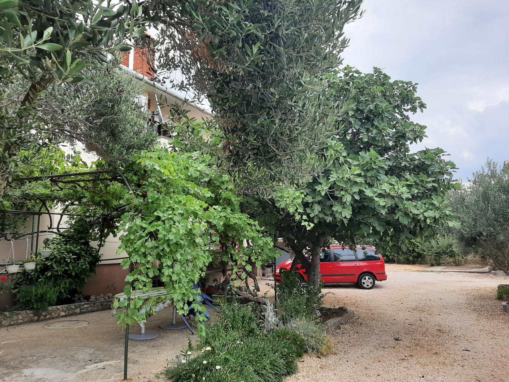 Apartmani Marija Povljana Ruang foto