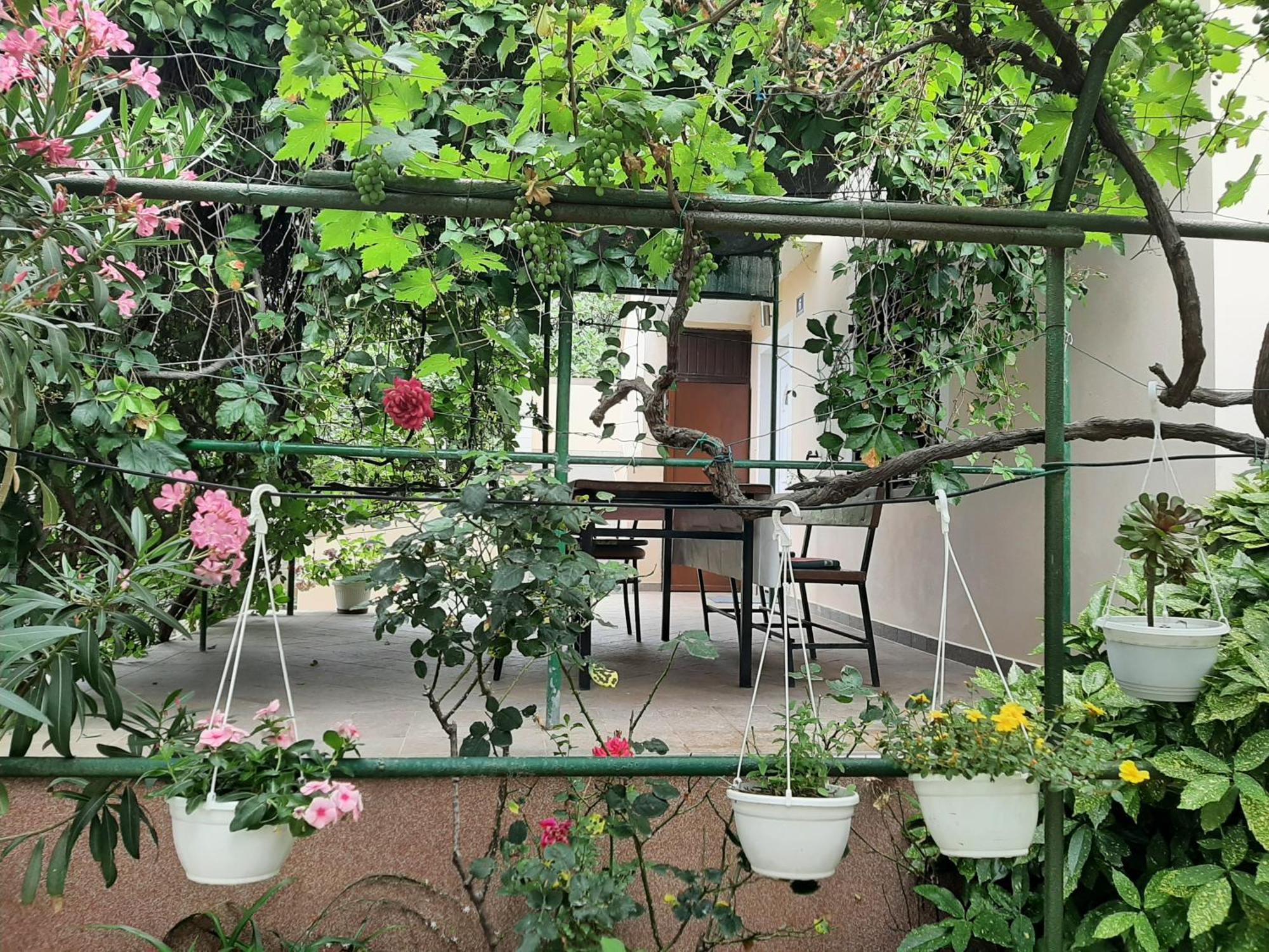 Apartmani Marija Povljana Ruang foto