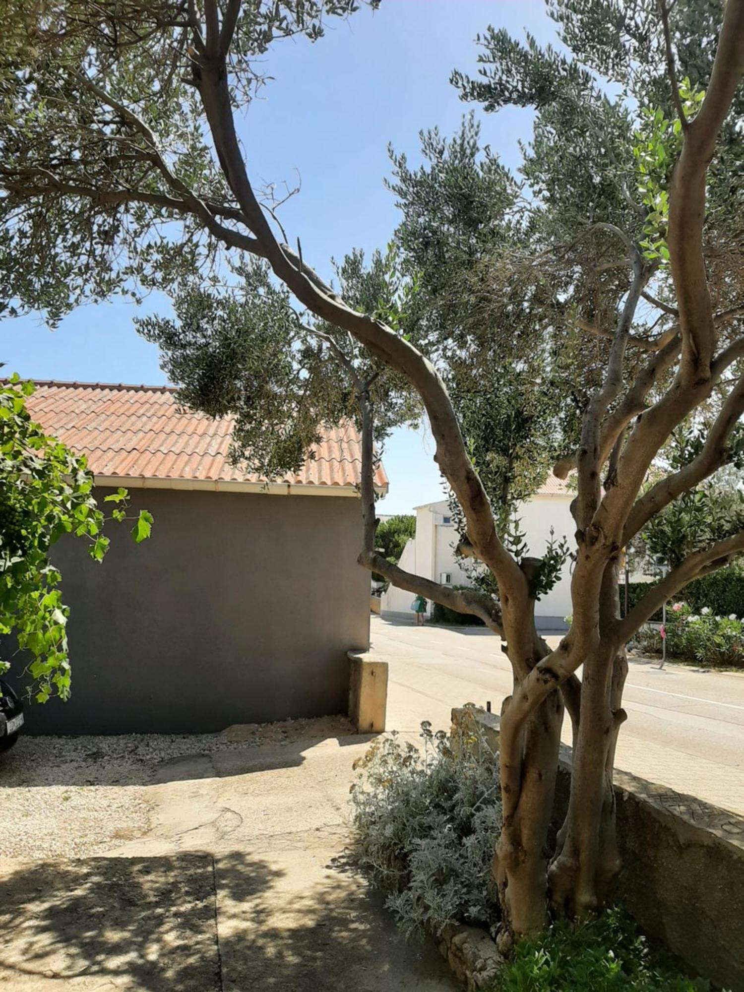 Apartmani Marija Povljana Ruang foto