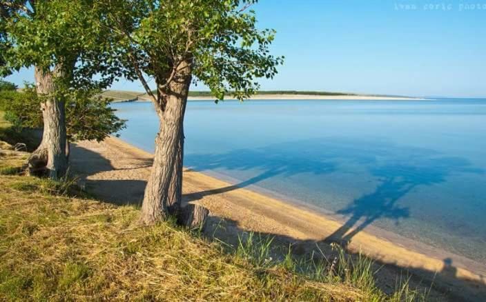 Apartmani Marija Povljana Bagian luar foto