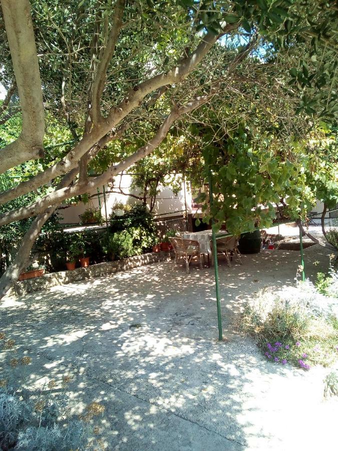 Apartmani Marija Povljana Bagian luar foto