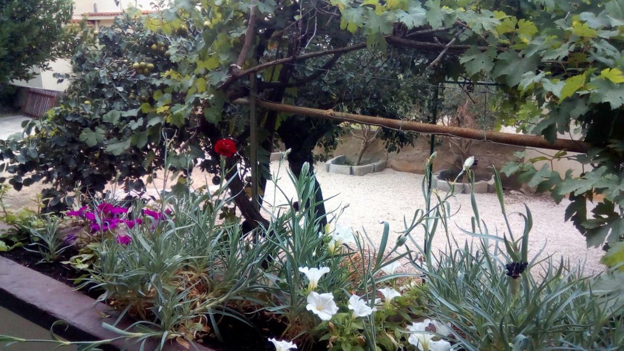 Apartmani Marija Povljana Bagian luar foto